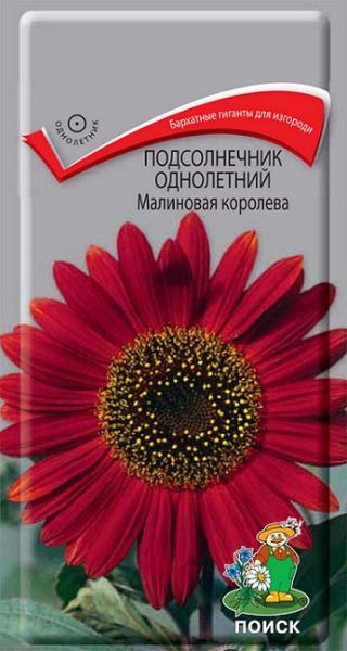Однолетник Подсолнечник Малиновая королева ЦВ Поиск
