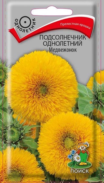 Однолетник Подсолнечник Медвежонок ЦВ Поиск