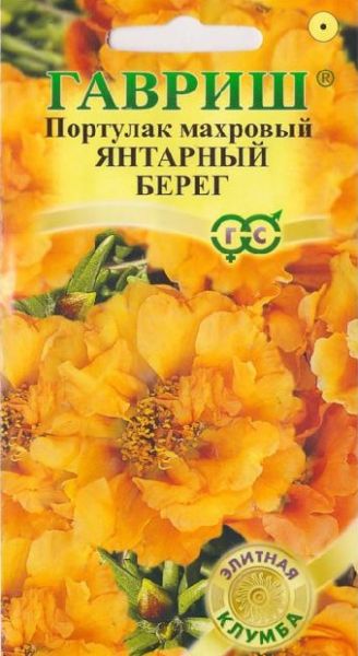 Однолетник Портулак Янтарный берег Элитная клумба Гавриш