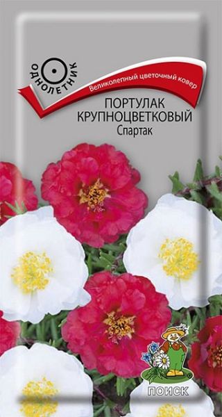 Однолетник Портулак крупноцветковый Спартак ЦВ Поиск