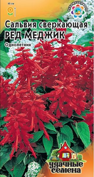 Однолетник Сальвия Ред Меджик Уд.с. Гавриш