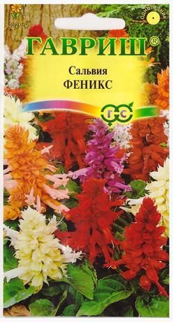 Однолетник Сальвия Феникс Гавриш