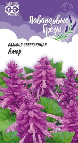 Однолетник Сальвия сверкающая Амор Лавандовые грезы Гавриш