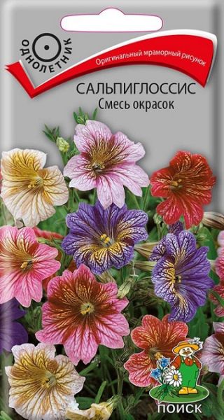 Однолетник Сальпиглоссис Смесь окрасок ЦВ Поиск