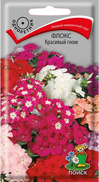 Однолетник Флокс Красивый гном ЦВ Поиск