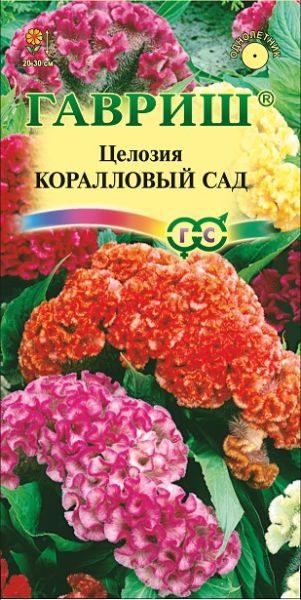Однолетник Целозия Коралловый сад гребенчатая Гавриш