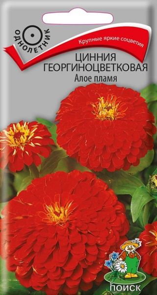 Однолетник Цинния георгиноцветковая Алое пламя ЦВ Поиск
