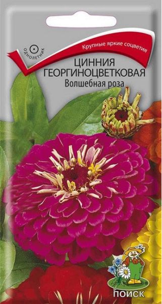 Однолетник Цинния георгиноцветковая Волшебная роза ЦВ Поиск