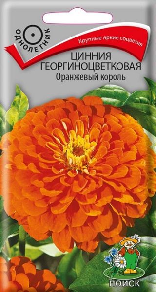 Однолетник Цинния георгиноцветковая Оранжевый король ЦВ Поиск