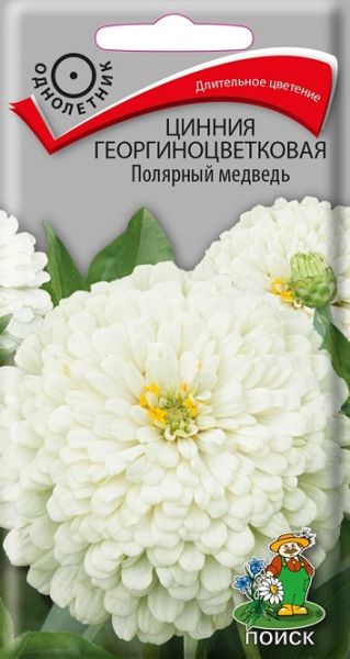 Однолетник Цинния георгиноцветковая Полярный медведь ЦВ Поиск