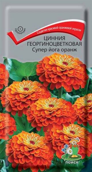 Однолетник Цинния георгиноцветковая Супер Йога Оранж ЦВ Поиск