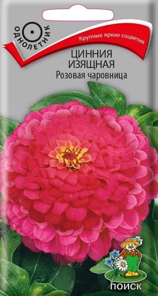 Однолетник Цинния изящная Розовая чаровница ЦВ Поиск