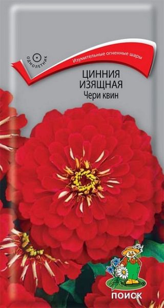 Однолетник Цинния изящная Чери квин ЦВ Поиск