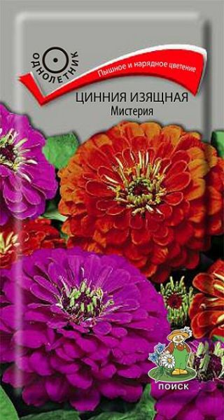Однолетник Цинния изящная Мистерия ЦВ Поиск