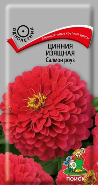 Однолетник Цинния изящная Салмон Роуз ЦВ Поиск