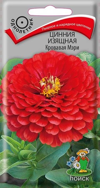 Однолетник Цинния изящная Кровавая Мэри ЦВ Поиск