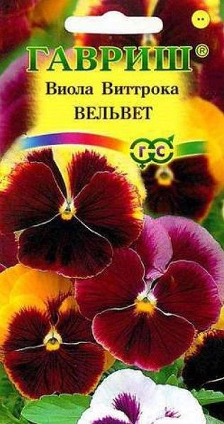 Двулетник Виола Вельвет Гавриш