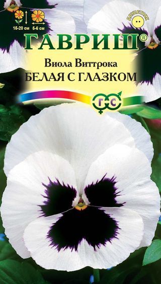 Двулетник Виола Белая с глазком Гавриш