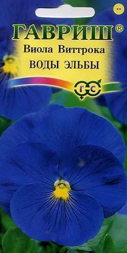 Двулетник Виола Воды Эльбы Гавриш