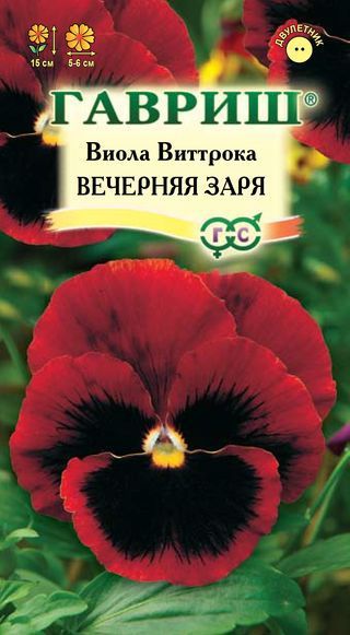Двулетник Виола Вечерняя заря Гавриш