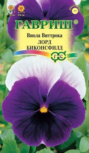 Двулетник Виола Лорд Биконсфилд Гавриш
