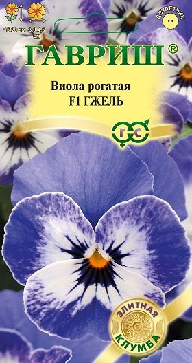 Двулетник Виола рогатая Гжель Гавриш