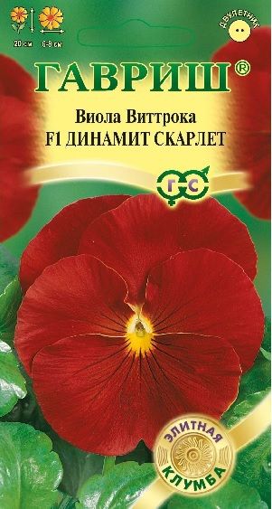 Двулетник Виола Динамит Скарлет F1 Элитная клумба Гавриш