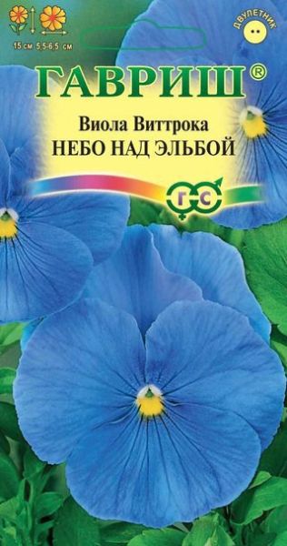Двулетник Виола Небо над Эльбой Гавриш