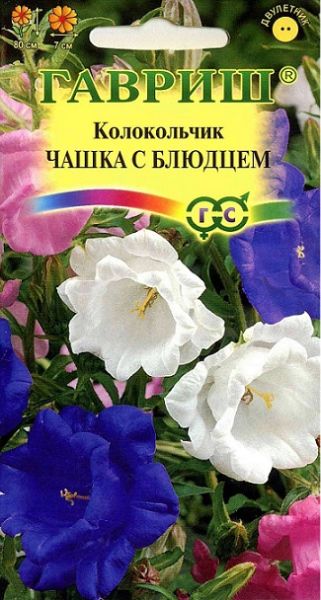 Двулетник Колокольчик Чашка с блюдцем Гавриш