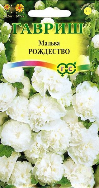 Двулетник Мальва Рождество Гавриш