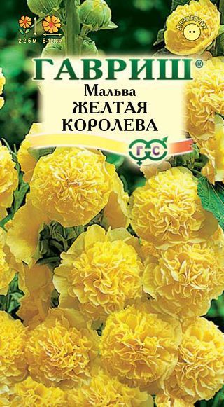 Двулетник Мальва Желтая Королева Гавриш