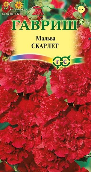 Двулетник Мальва Скарлет Гавриш