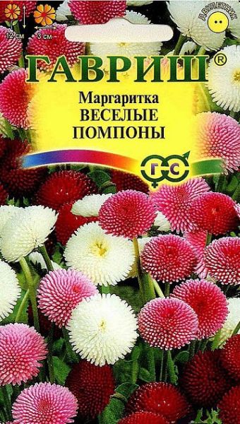 Двулетник Маргаритка Веселые помпоны Гавриш