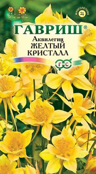 Многолетник Аквилегия Желтый кристалл Гавриш