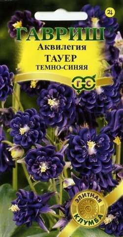 Многолетник Аквилегия Тауер темно-синяя Элитная клумба Гавриш