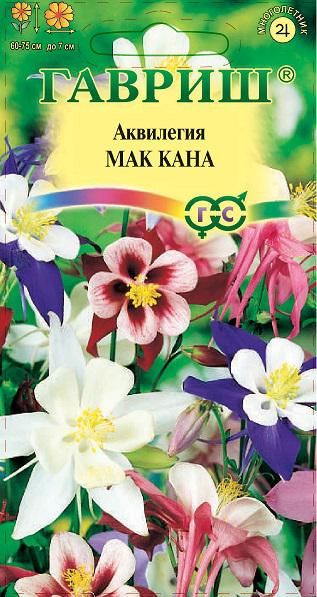 Многолетник Аквилегия Мак Кана Гавриш