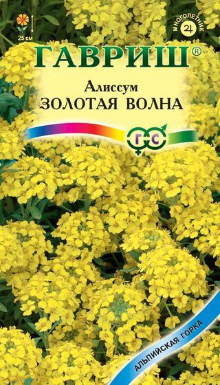 Многолетник Алиссум скальный Золотая волна Альпийская горка Гавриш