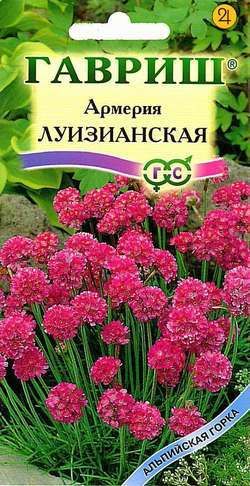 Многолетник Армерия Луизианская Альпийская горка Гавриш