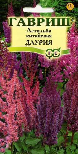 Многолетник Астильба Даурия Гавриш
