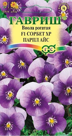 Многолетник Виола Сорбет XP Парпл Айс F1 Гавриш