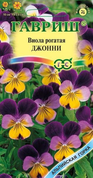 Многолетник Виола Джонни Гавриш