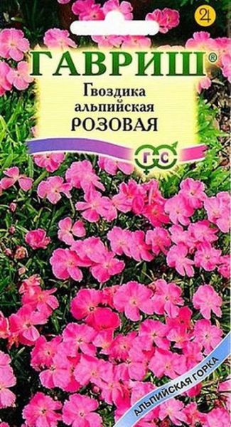 Многолетник Гвоздика альпийская Розовая Альпийская горка Гавриш