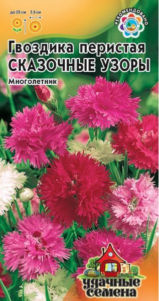 Многолетник Гвоздика перистая махр. Сказочные узоры Уд.с. Гавриш
