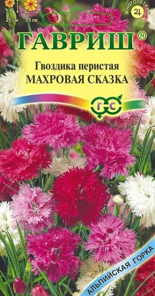 Многолетник Гвоздика перистая махровая Сказка Альпийская горка Гавриш