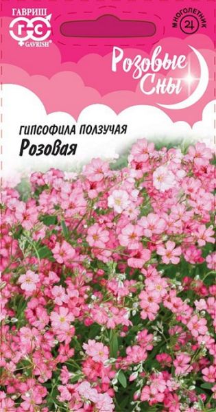 Многолетник Гипсофила ползучая Розовая Розовые сны Гавриш