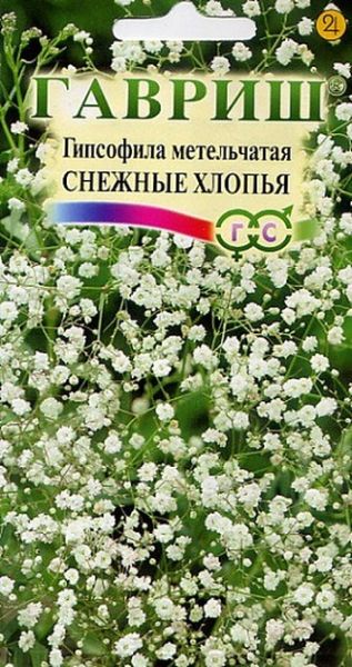 Многолетник Гипсофила  метельч. Снежные хлопья Гавриш