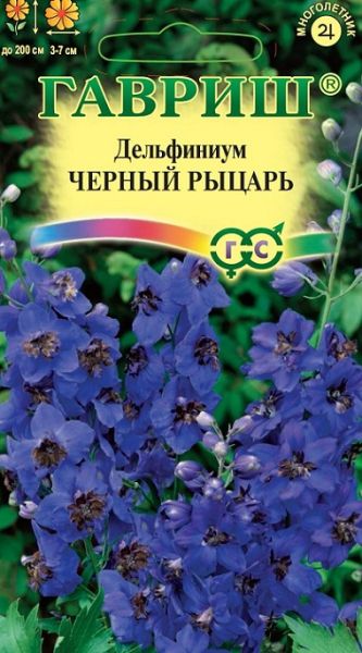 Многолетник Дельфиниум Черный рыцарь Гавриш