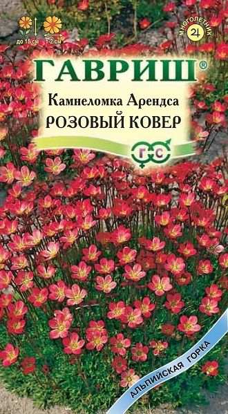Многолетник Камнеломка Арендса Розовый ковер Гавриш