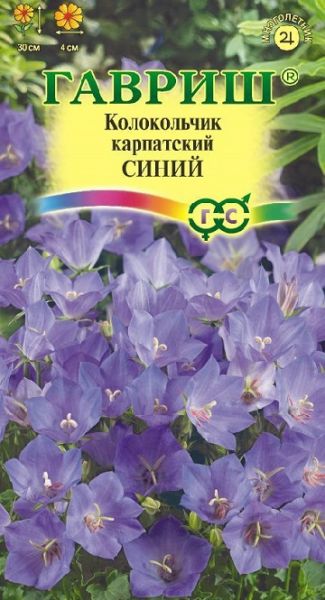 Многолетник Колокольчик Синий Альпийская горка Гавриш