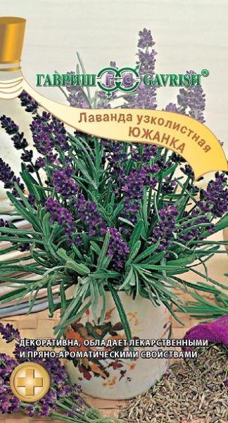 Многолетник Лаванда узколистная Южанка Гавриш